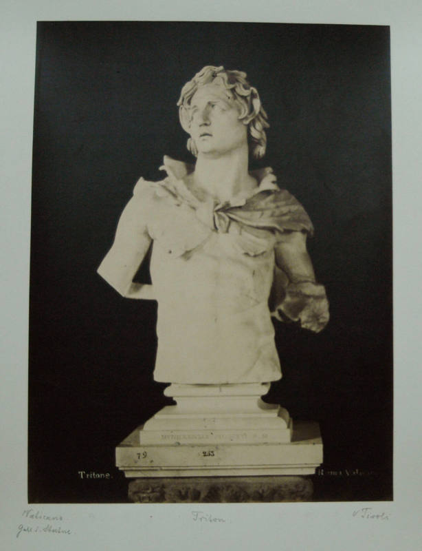 © Michael C. Carlos Museum, Emory University