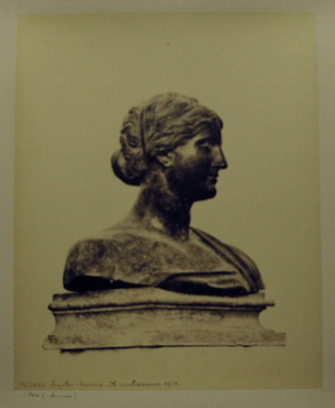 © Michael C. Carlos Museum, Emory University