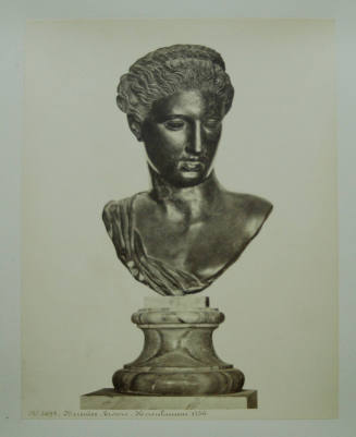 © Michael C. Carlos Museum, Emory University