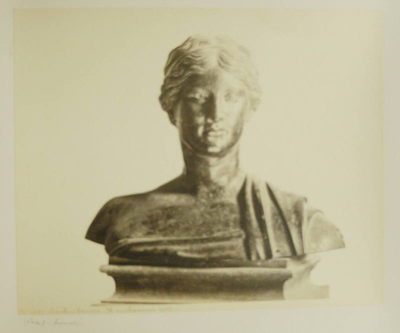© Michael C. Carlos Museum, Emory University