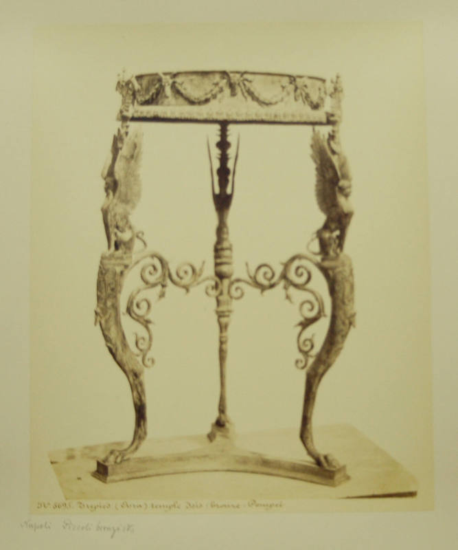 © Michael C. Carlos Museum, Emory University
