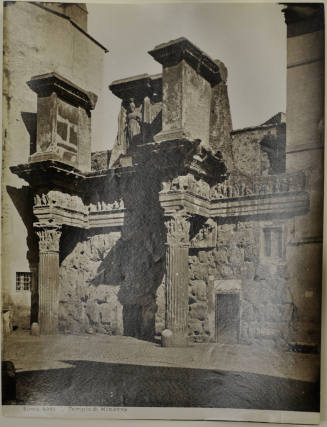 © Michael C. Carlos Museum, Emory University