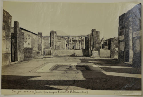 © Michael C. Carlos Museum, Emory University