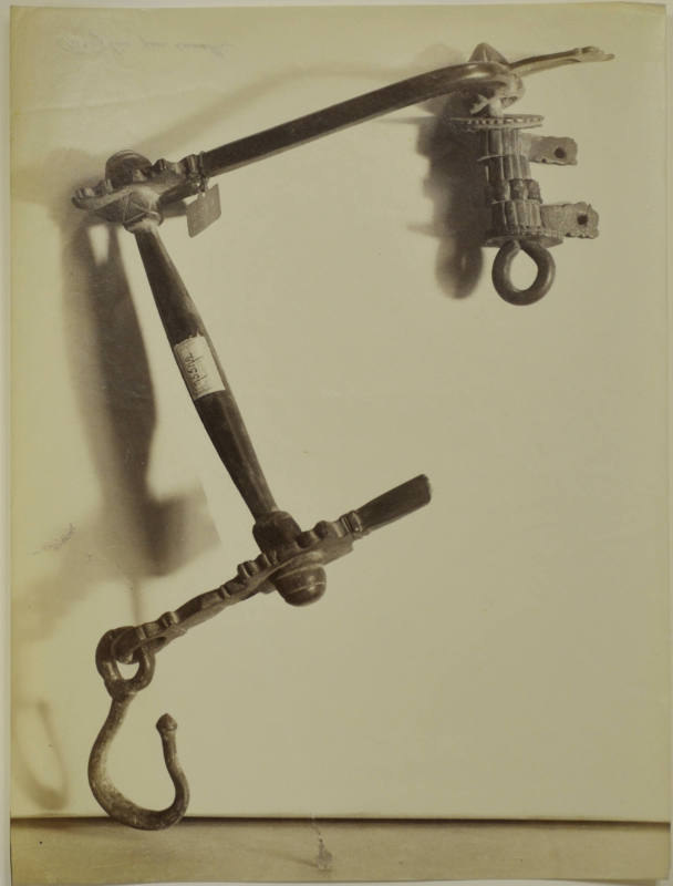 © Michael C. Carlos Museum, Emory University
