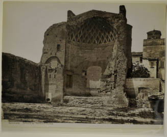 © Michael C. Carlos Museum, Emory University