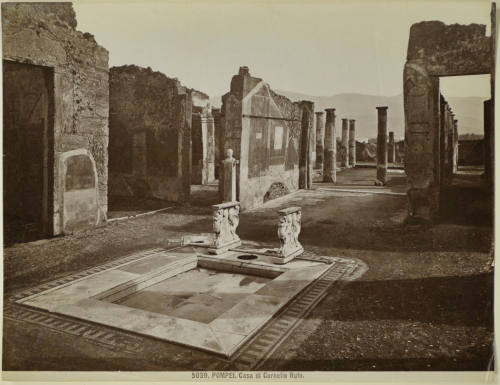 © Michael C. Carlos Museum, Emory University