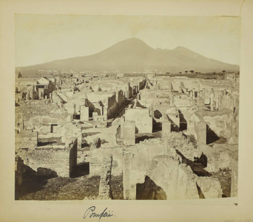 © Michael C. Carlos Museum, Emory University