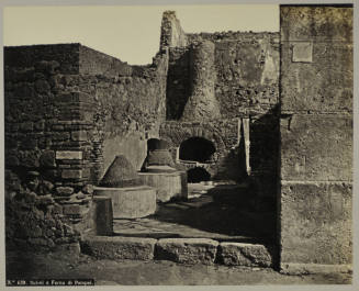 © Michael C. Carlos Museum, Emory University