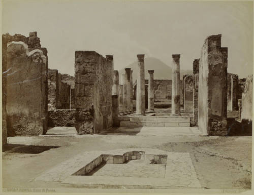 © Michael C. Carlos Museum, Emory University