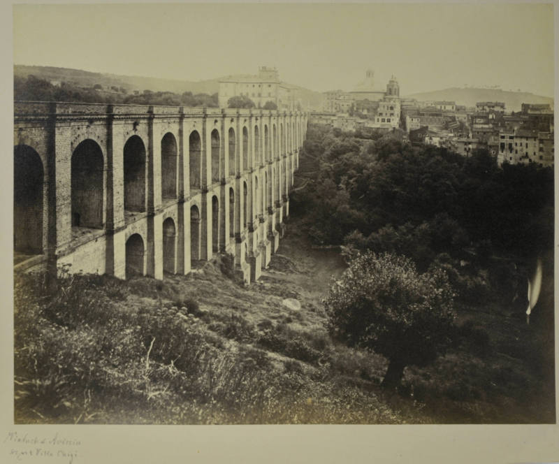 © Michael C. Carlos Museum, Emory University