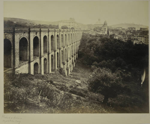 © Michael C. Carlos Museum, Emory University