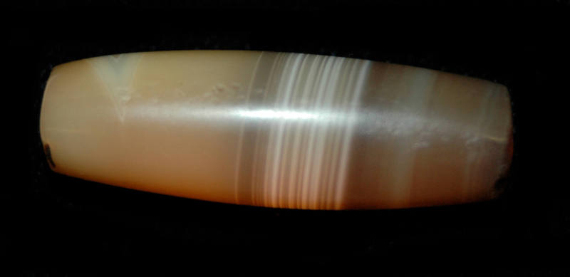 © Michael C. Carlos Museum, Emory University