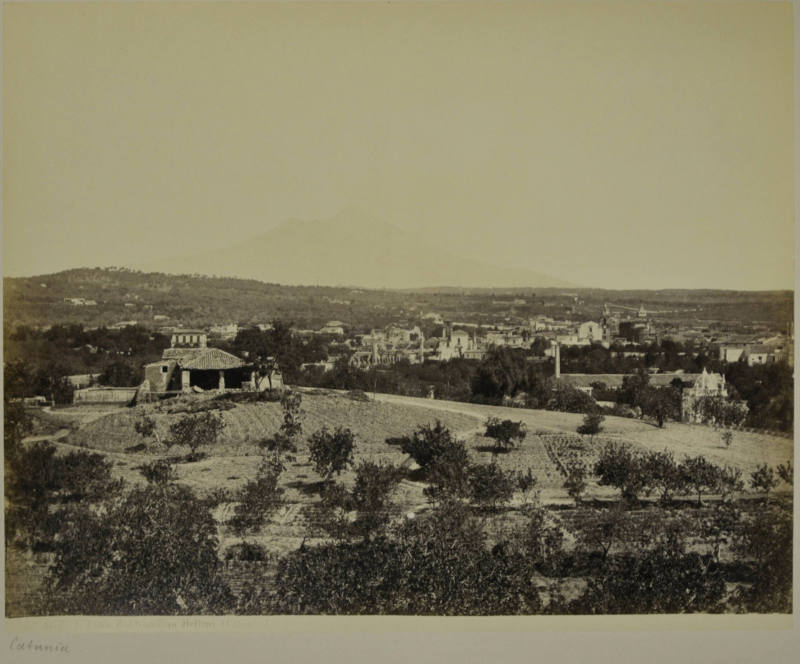 © Michael C. Carlos Museum, Emory University