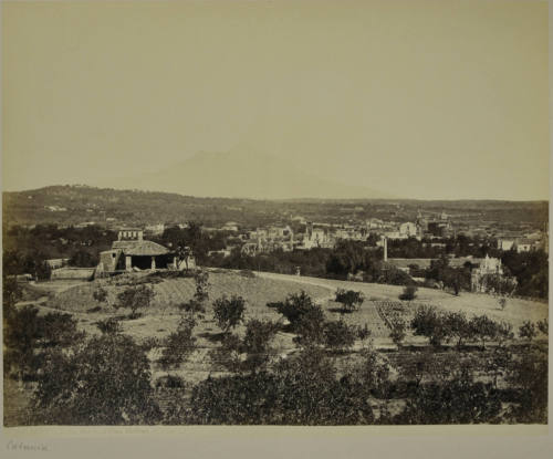 © Michael C. Carlos Museum, Emory University