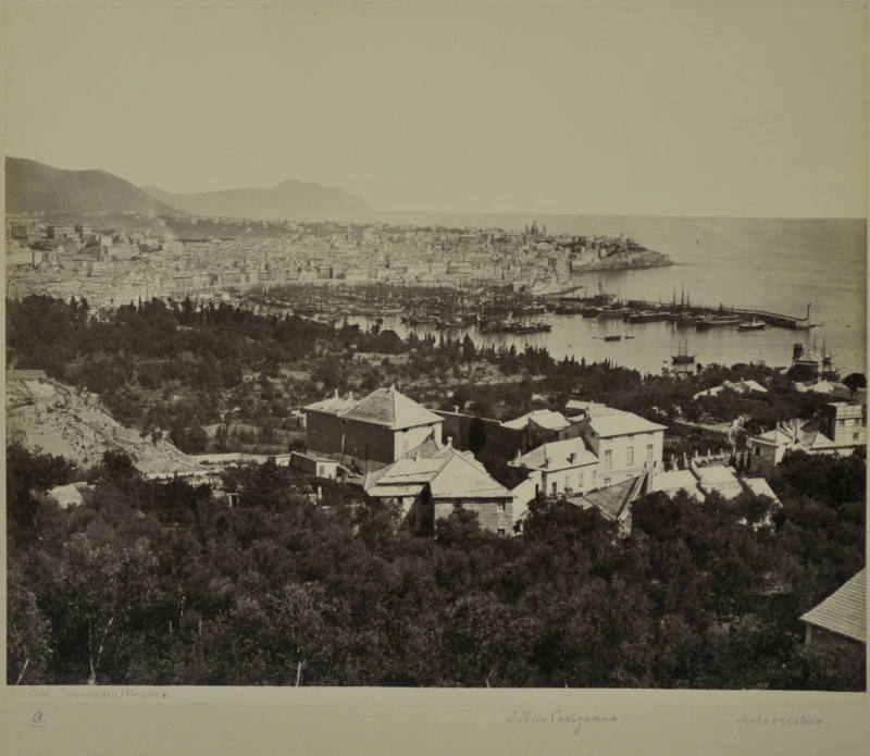 © Michael C. Carlos Museum, Emory University