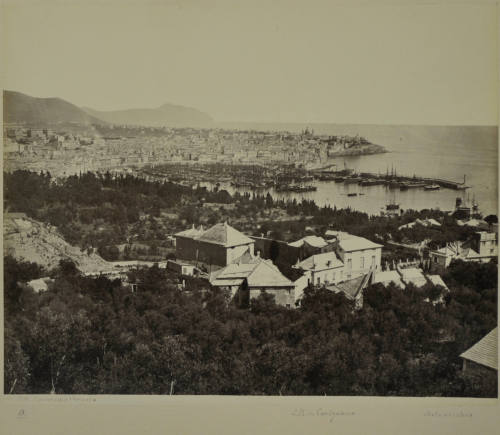 © Michael C. Carlos Museum, Emory University