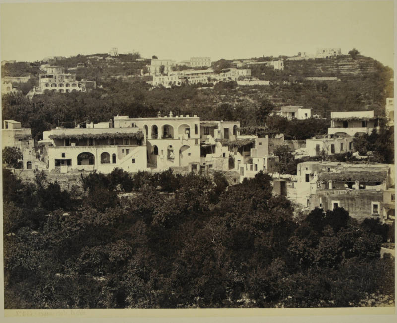 © Michael C. Carlos Museum, Emory University