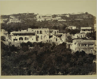 © Michael C. Carlos Museum, Emory University