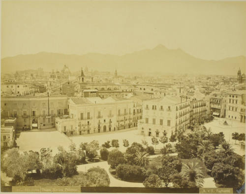 © Michael C. Carlos Museum, Emory University