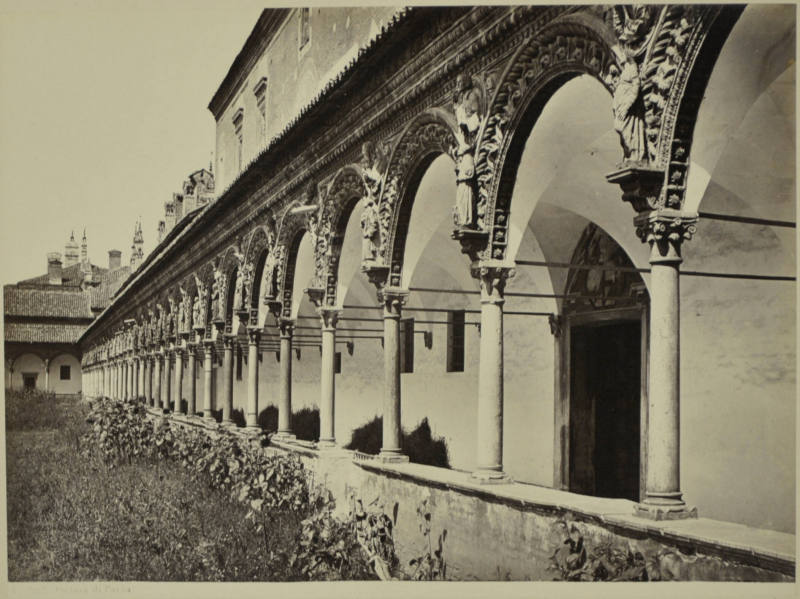 © Michael C. Carlos Museum, Emory University