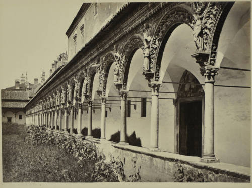 © Michael C. Carlos Museum, Emory University