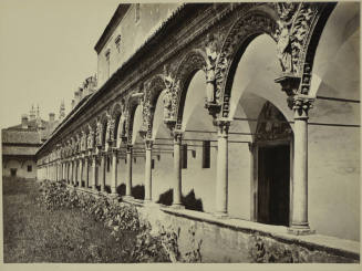© Michael C. Carlos Museum, Emory University