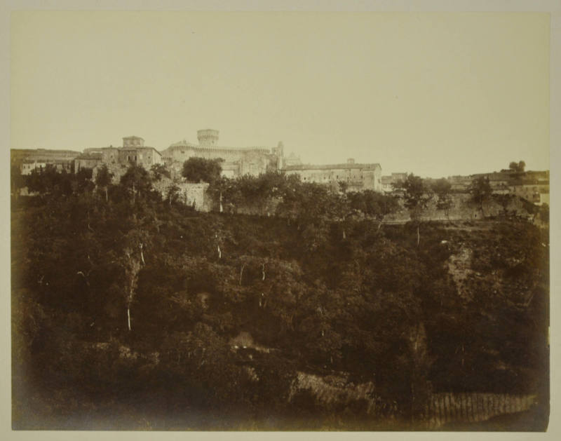 © Michael C. Carlos Museum, Emory University