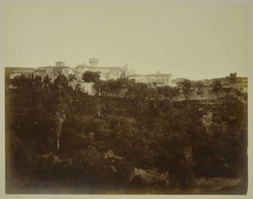 © Michael C. Carlos Museum, Emory University