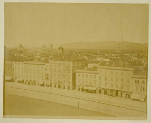© Michael C. Carlos Museum, Emory University