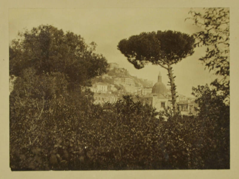 © Michael C. Carlos Museum, Emory University