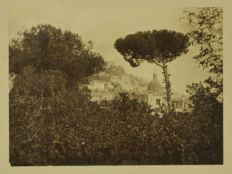 © Michael C. Carlos Museum, Emory University