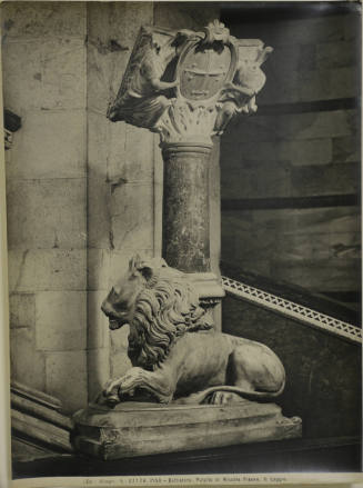 © Michael C. Carlos Museum, Emory University