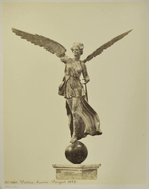 © Michael C. Carlos Museum, Emory University