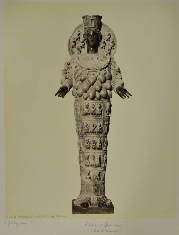 © Michael C. Carlos Museum, Emory University