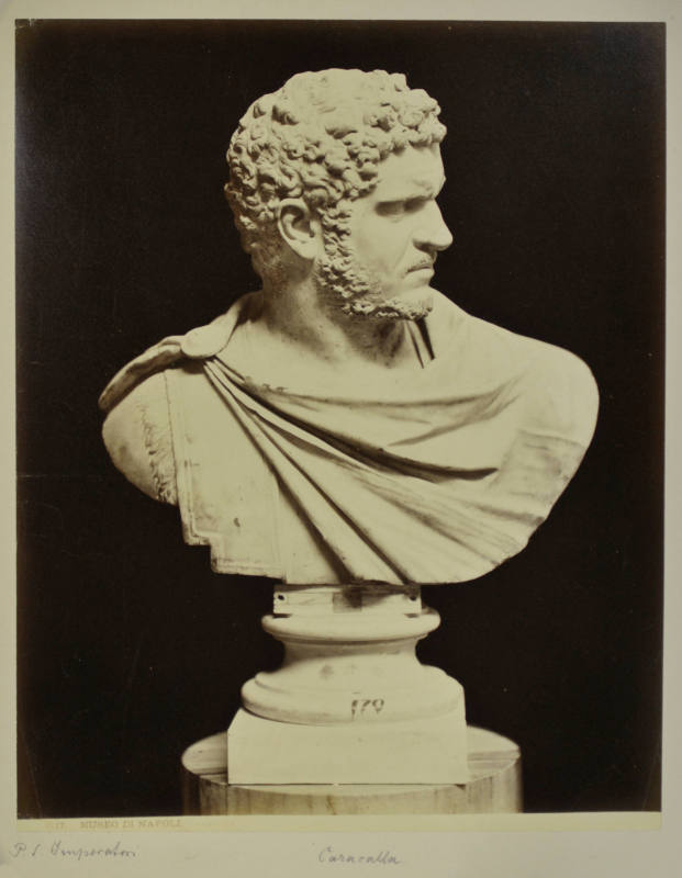 © Michael C. Carlos Museum, Emory University