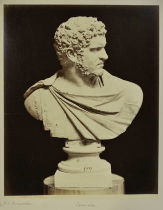 © Michael C. Carlos Museum, Emory University