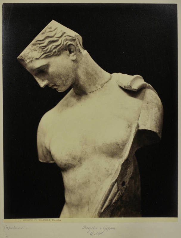 © Michael C. Carlos Museum, Emory University