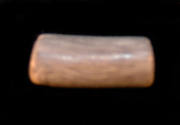 © Michael C. Carlos Museum, Emory University