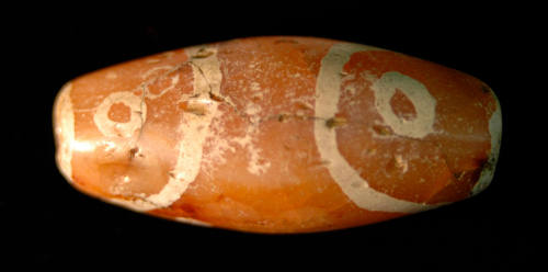 © Michael C. Carlos Museum, Emory University