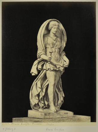 © Michael C. Carlos Museum, Emory University