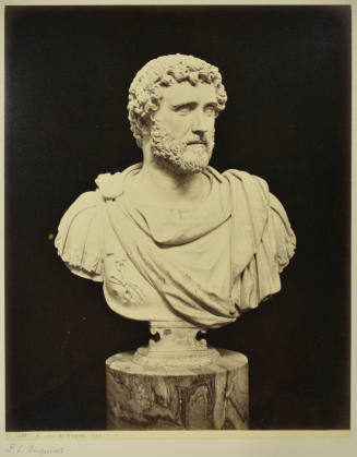 © Michael C. Carlos Museum, Emory University