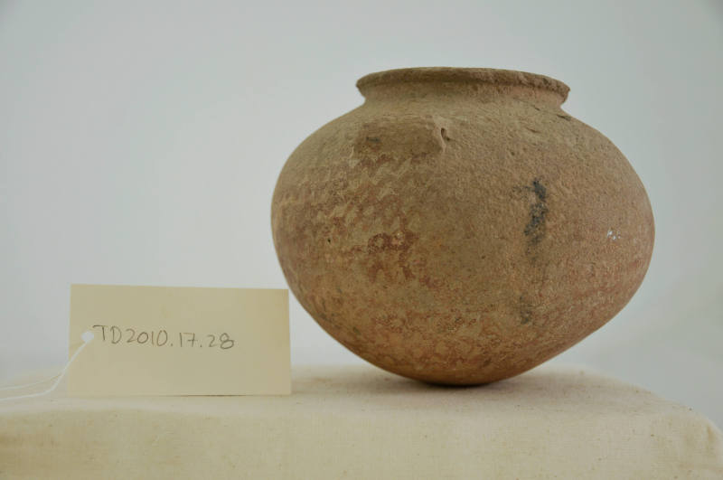 © Michael C. Carlos Museum, Emory University
