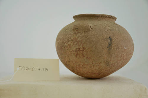 © Michael C. Carlos Museum, Emory University