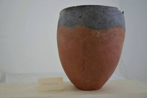 © Michael C. Carlos Museum, Emory University
