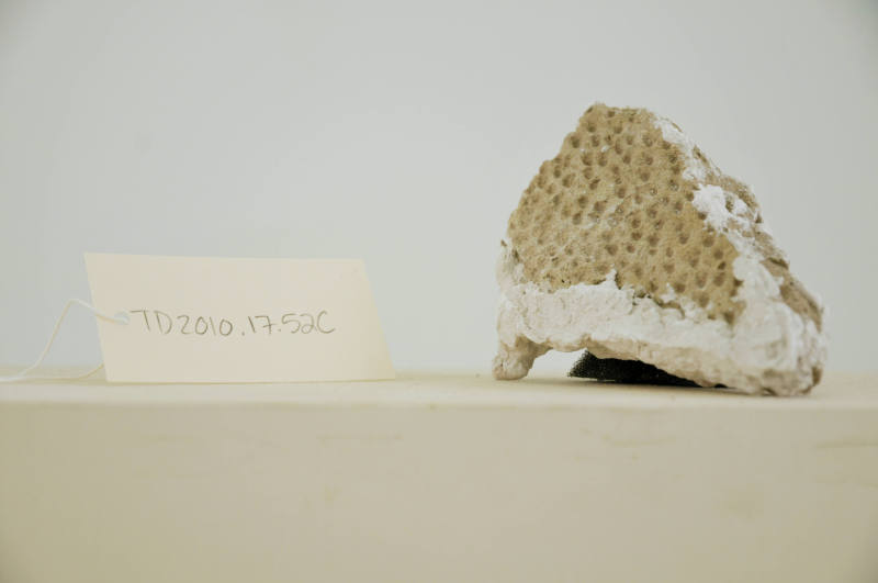 © Michael C. Carlos Museum, Emory University