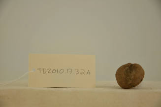 © Michael C. Carlos Museum, Emory University