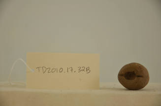 © Michael C. Carlos Museum, Emory University