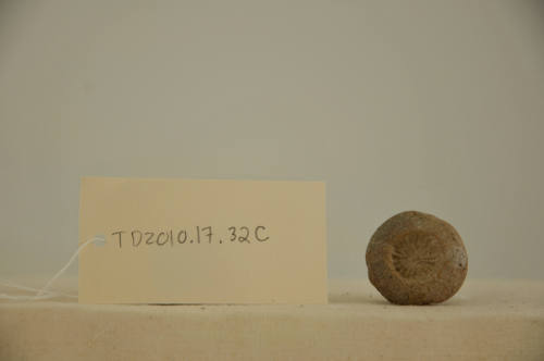© Michael C. Carlos Museum, Emory University