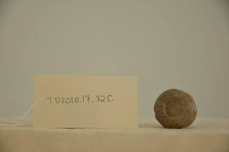 © Michael C. Carlos Museum, Emory University
