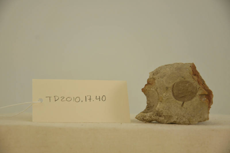 © Michael C. Carlos Museum, Emory University